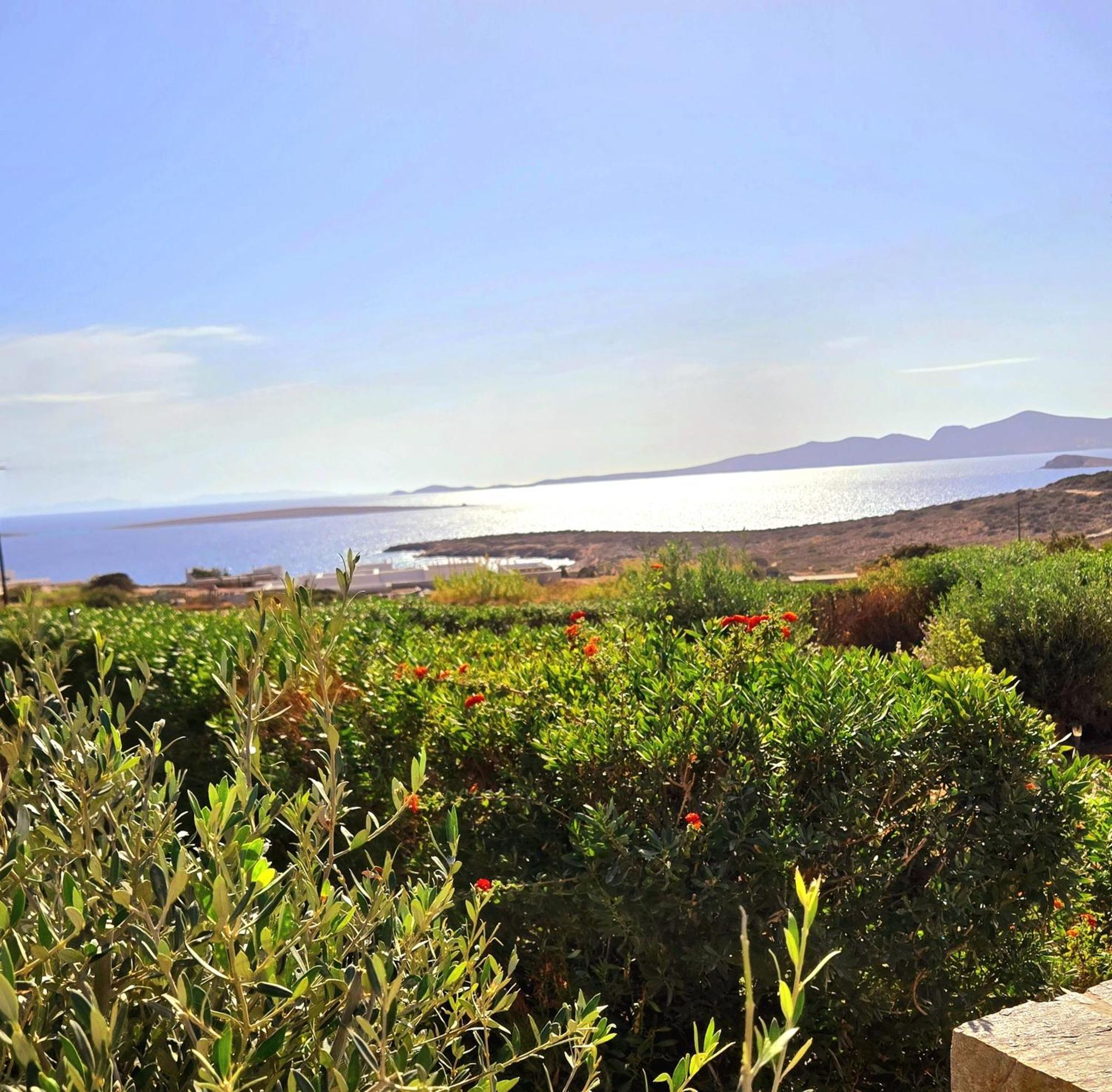 Paros Afrodite Luxury Villas Alikí Esterno foto